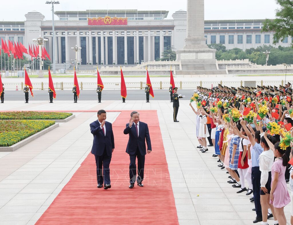 Bật Mí Bí Quyết Đọc Hiểu bóng đá tivi hôm nay - Con Đường Thành Công Trong Cá Cược